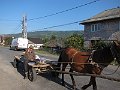 IMG_1009