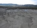 IMG_1136
