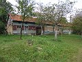 IMG_1242