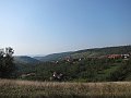 IMG_1295