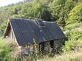 IMG_1297