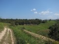 IMG_1311