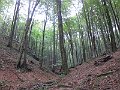 IMG_1330