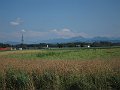 IMG_1819