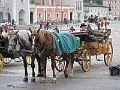 IMG_1880