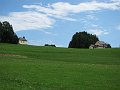 IMG_1936