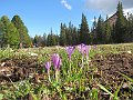 IMG_7225