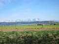 IMG_7241