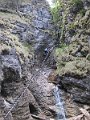 IMG_7273