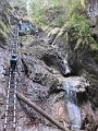 IMG_7300