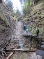 IMG_7303