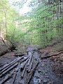 IMG_7324
