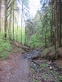 IMG_7326