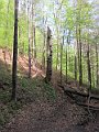 IMG_7330