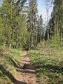 IMG_7336