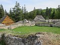IMG_7356