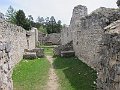 IMG_7358