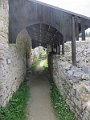 IMG_7367