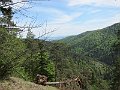 IMG_7381