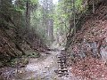 IMG_7386