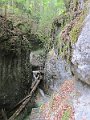 IMG_7401