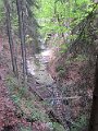 IMG_7412