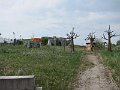 IMG_7454