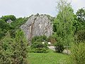 IMG_7493