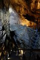 DSC01970