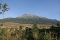 IMG_4800