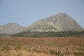 IMG_4830