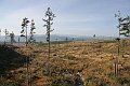 IMG_4840
