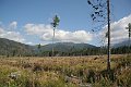 IMG_4911