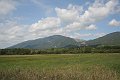 IMG_4914