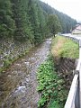 IMG_5575