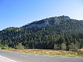 IMG_5600