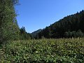 IMG_5625
