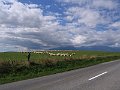 IMG_5688