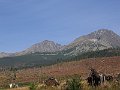 IMG_5774
