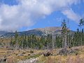 IMG_5821
