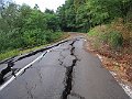 IMG_0825