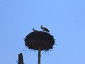 IMG_0870_1