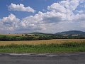 IMG_0873_1