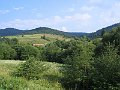IMG_0901_1
