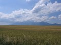 IMG_0923_1