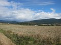 IMG_2813