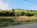 IMG_2841