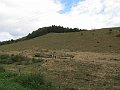 IMG_2848