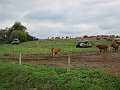 IMG_2878