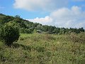 IMG_2899